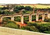 3 Brazilian men charged after woman tossed from bridge without safety rope