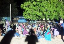 Troops Rescue 360 Abductees From Terrorist Enclave In Borno