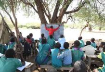 Over 3 Million Pupils Still Learn Under Trees -Auditor General