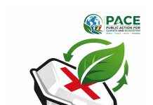 Chop the Food. Protect the Future. Drop the Pack Today! Why Ghana Must Phase Out Plastic Food Packs by 2027