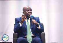 Jinapor Calls for Innovative Climate Financing to Unlock Africa’s Nature-Based Solutions