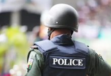 Eight killed, five injured in Benue community attack -Police