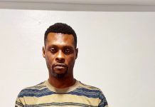 Police Arrest NDC Tiktoker … Over Alleged Insults Against Bawumia …But Former Veep Calls For Discontinuation Of Case