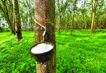 Local Rubber Processors Reject Monopoly Claims
