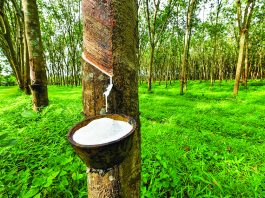 Local Rubber Processors Reject Monopoly Claims