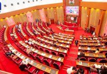 Senate Confirms Fasina As Non-Career Ambassador Amid Opposition