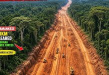 Over 100km cleared for Accra–Kumasi Expressway project — GAF