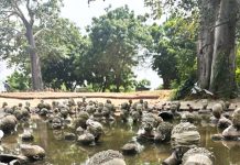 Obroni’s Opinion: Recognition Of George Floyd And Plastic Waste On Ada’s Beaches