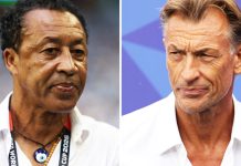 Cape Verde coach Bubista resigns as Ivory Coast reappoint Renard
