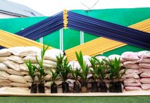 Gold Fields plant seeds of hope at Tarkwa Prison
