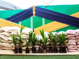 Gold Fields plant seeds of hope at Tarkwa Prison