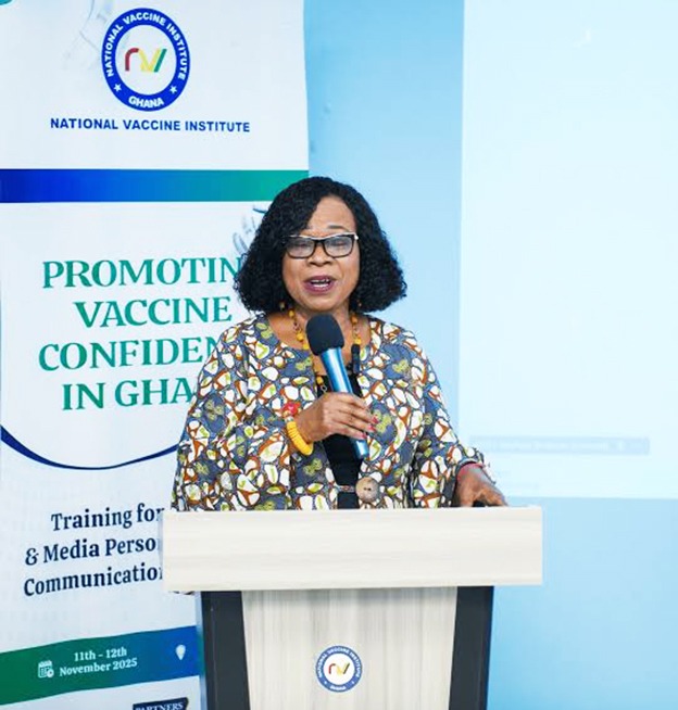 Dr Charity Binka, Executive Secretary of the African Media and Malaria Research Network (AMMREN).