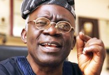 Sanction South African businesses over xenophobic attacks on Nigerians – Falana tells government