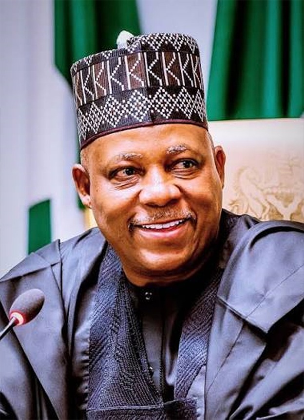 Vice President Kashim Shettima