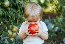 Habits that help children to eat more vegetables over their lifetime