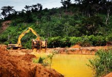 CSOs Coalition Calls For Entrenchment Of Environmental Rights In Ghana’s Constitution