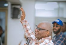 Agyarko Plots NPP’s Return To Power