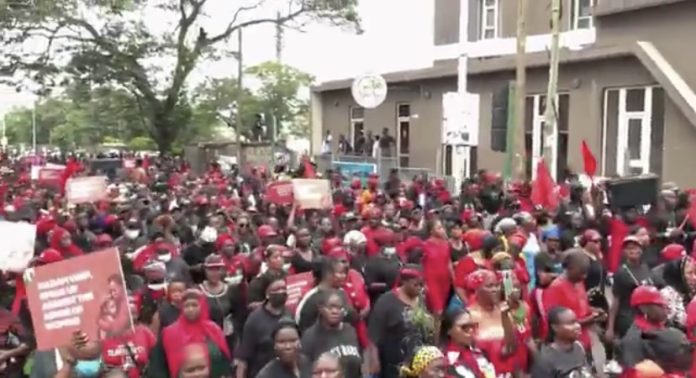 The demonstrators