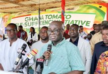 Agric Minister introduces policy to curb importation of tomatoes