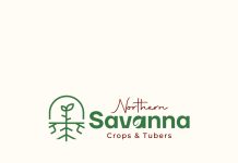 Northern-Savanna, Complete Farmer Seal 500-Acre Sesame Deal File Picture