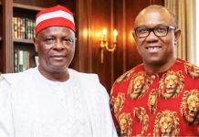 NDC to inaugurate Peter Obi, Kwankwaso Presidential Campaign Council