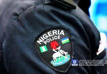 Police arrest suspected gang linked with alleged robbery, killings in Niger