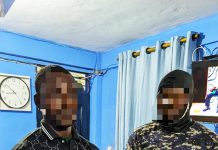 Two fake police officers nabbed