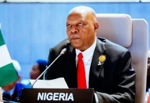 Shettima urges Africa against exporting mineral wealth without achieving full benefits