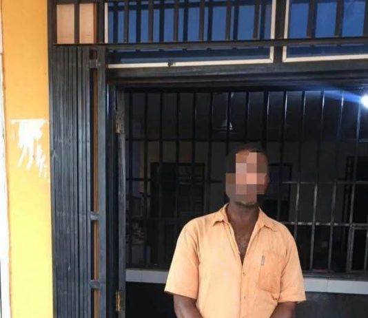 Tema Police arrest 52-year-old with 37 parcels of suspected Indian hemp