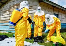 Goct confirms Ebola Case in Federal Capital Territory