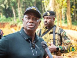 Armah Buah: Gov’t Will Go After Chiefs, MMDCEs Aiding Galamsey