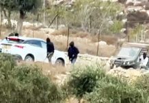 European diplomats attacked by Israeli settlers in West Bank