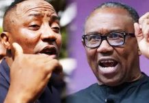 Sowore slams NDC, accuses Obi of renting party every election