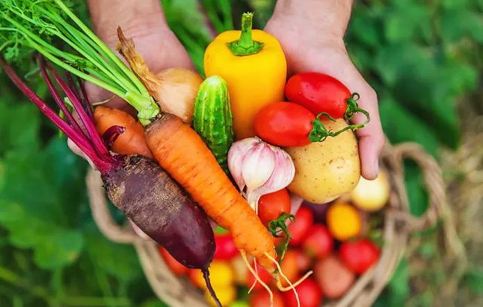 Plants, fats, and fermented foods can reduce wrinkles