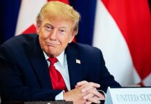 Trump’s AI rebrand causes ‘unprecedented’ demand for Slovenian website names