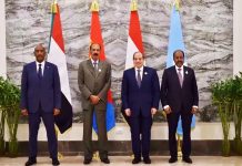 Four African leaders issue joint declaration as Ethiopia war escalates